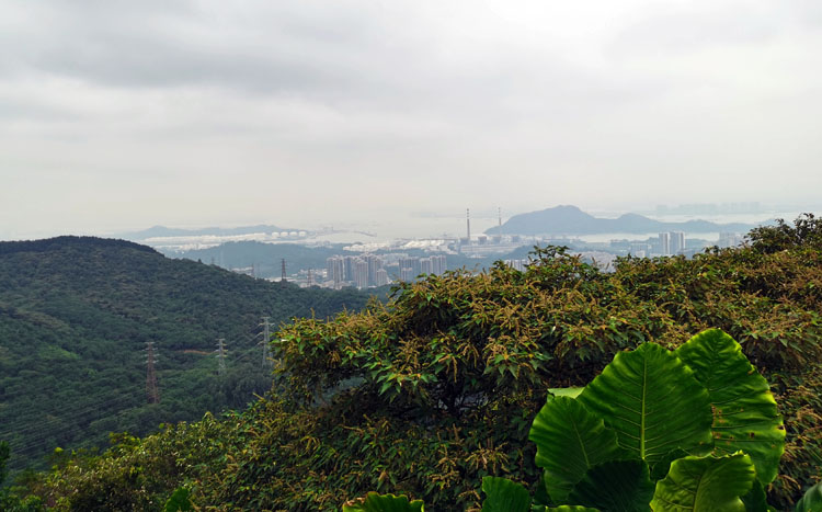 激扬青春、奋勇攀登登山活动